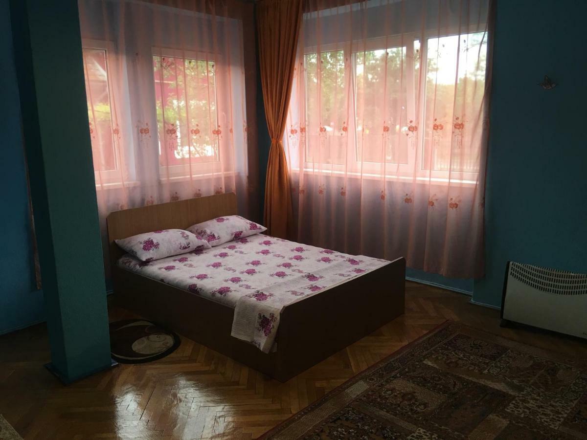 Vila La Izvorul Putinei Haţeg Exteriör bild